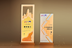 918博天堂官网国际一举斩获“2024年度中国区最佳雇主”等多项大奖