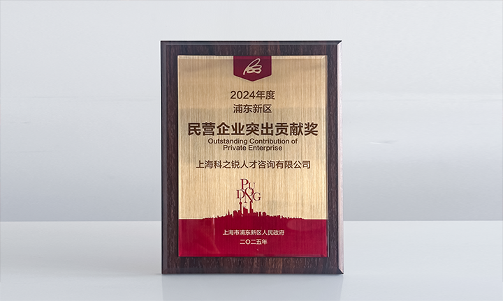 人力资源供应商918博天堂官网国际凭借人才服务与在区域经济开展中的卓越表现荣膺2024年度浦东新区民营企业奖项